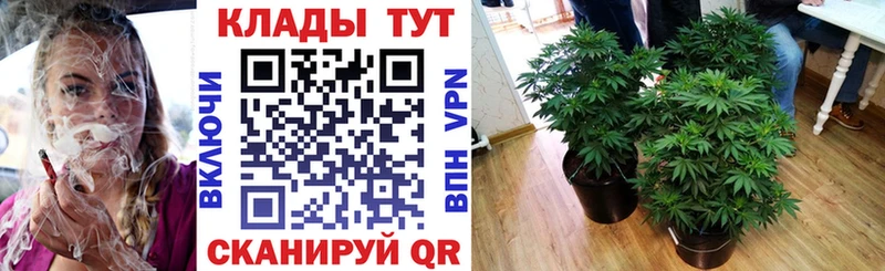 Какие есть наркотики Бежецк Псилоцибиновые грибы  АМФ  Меф  СК  ГАШ 