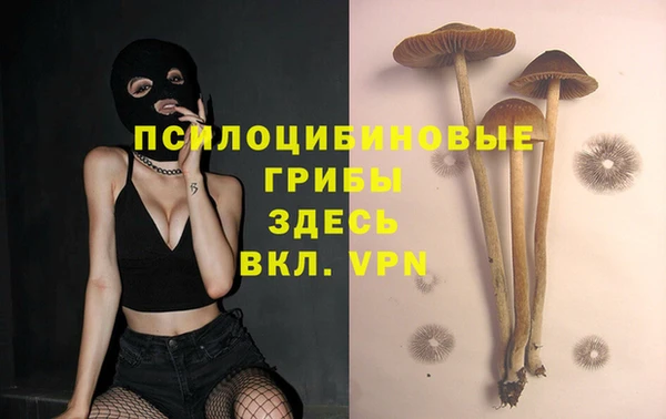 мескалин Беломорск