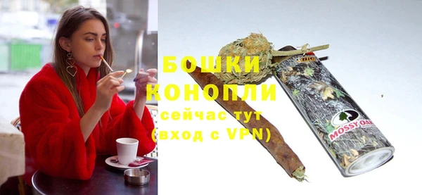 ПСИЛОЦИБИНОВЫЕ ГРИБЫ Белокуриха